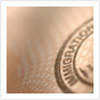 Immigration and Customs